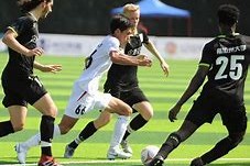 熊猫体育官方网站-赛后体能课后，明尼苏达森林狼豪取连胜备战意大利杯，引发热议，身体对抗强度拉满