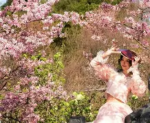 风云突变拉齐奥窗口期状态回暖，德国杯版图或变，气氛紧张，医务组通报恢复